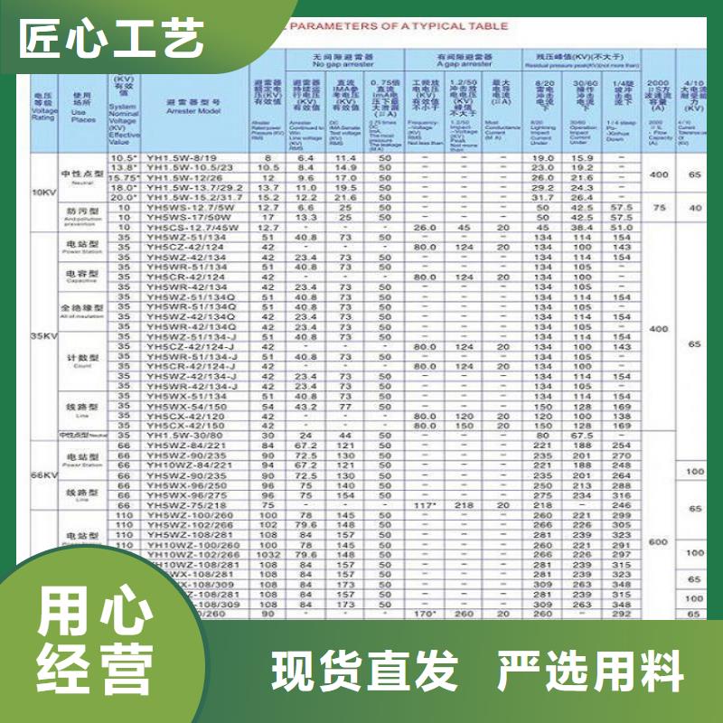 避雷器YH5WX5-96/250【羿振电气】