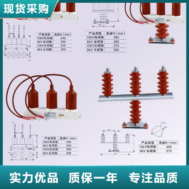 保护器(组合式避雷器)YHB5CR-10/27*10/27