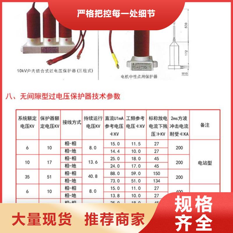 〖过电压保护器〗TBP-C-10.5/85生产厂家