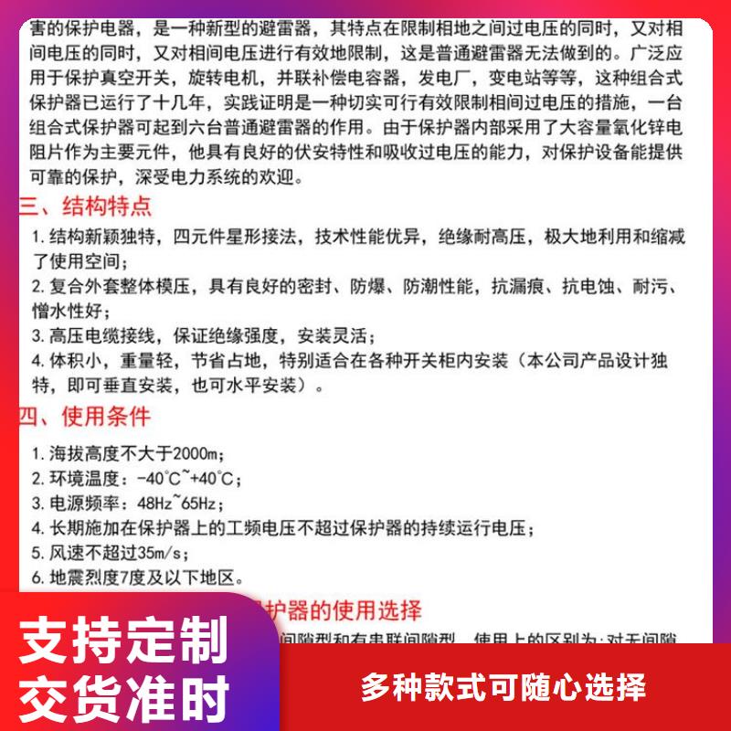 保护器(组合式避雷器)YHB5CR-10/27*10/27