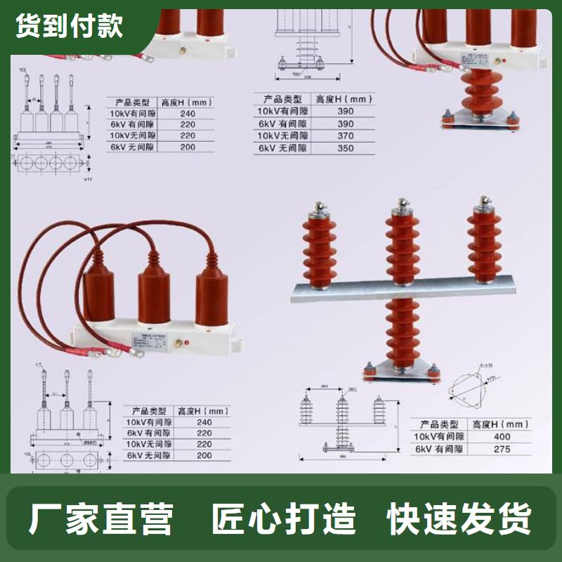 保护器(组合式避雷器)THB-B-51/800