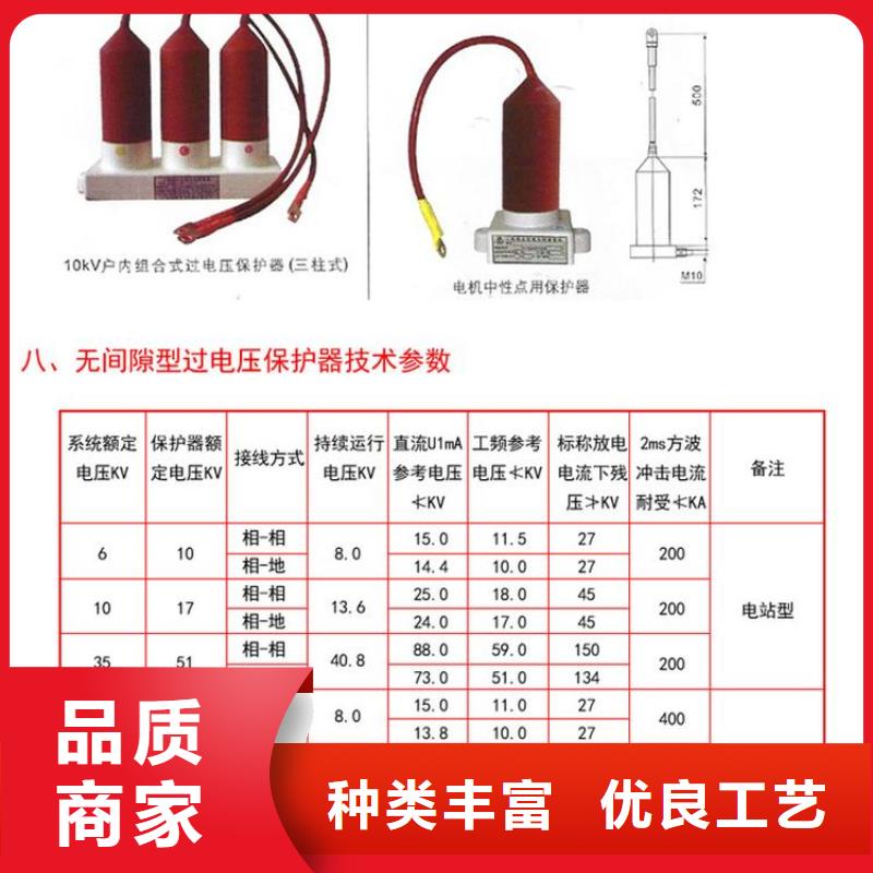 TBP-B-42/200过电压保护器生产厂家