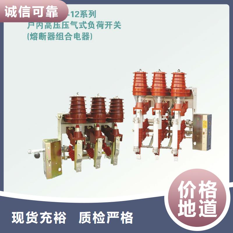 高压负荷开关FZN40-12RD/200-31.5-上海羿振电力设备有限公司