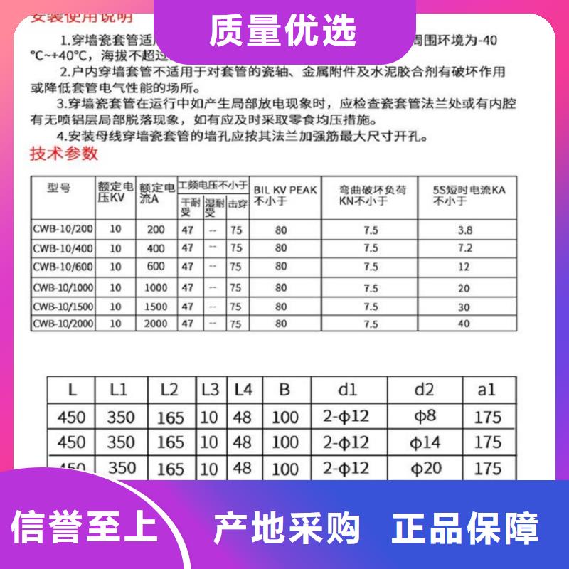 穿墙套管CLB-10KV/630A