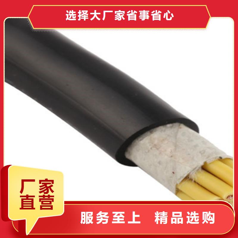 重庆耐高温型计算机电缆DJFPFP3F1X3X1.0厂家供应价格