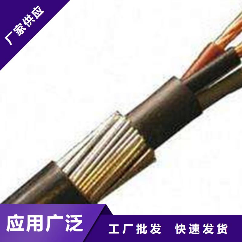 性价比高的ZR-DJYP3V-32铠装计算机电缆批发商