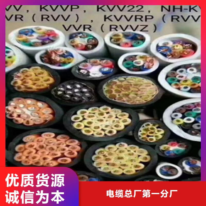 定制ZRKVVRP8X1.0_品牌厂家