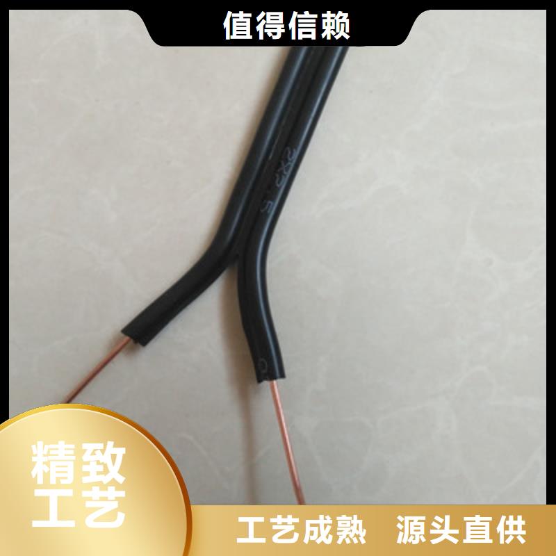 VVR-J8X2.5电缆结构品牌-报价