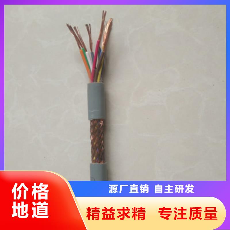 耐高温型计算机电缆DJFPFP3F1X3X1.0厂家供应批发