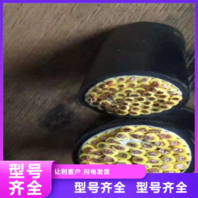 玉林铠装DP通讯线长期有效