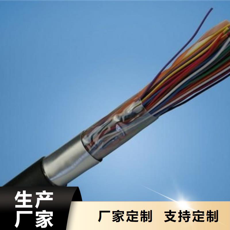 嘉兴呼叫通信电缆HJYJVp/SA生产