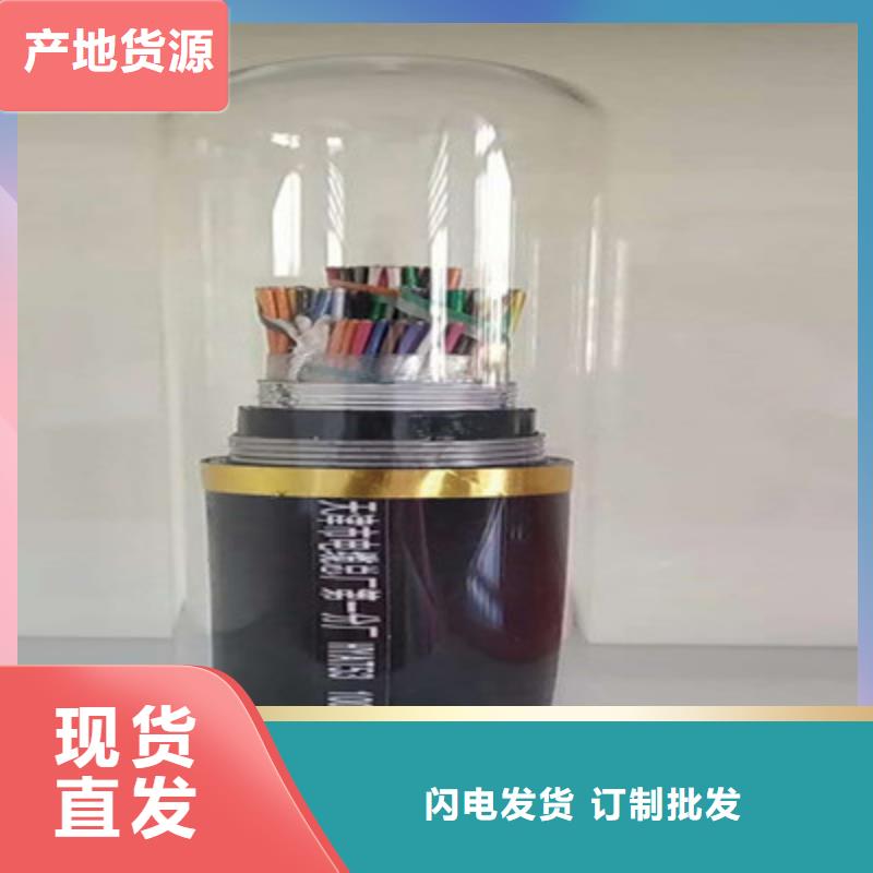 佛山阻燃铠装广播线ZR-HYPV22货源