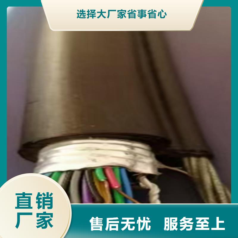 抚顺电话电缆EIB服务为先