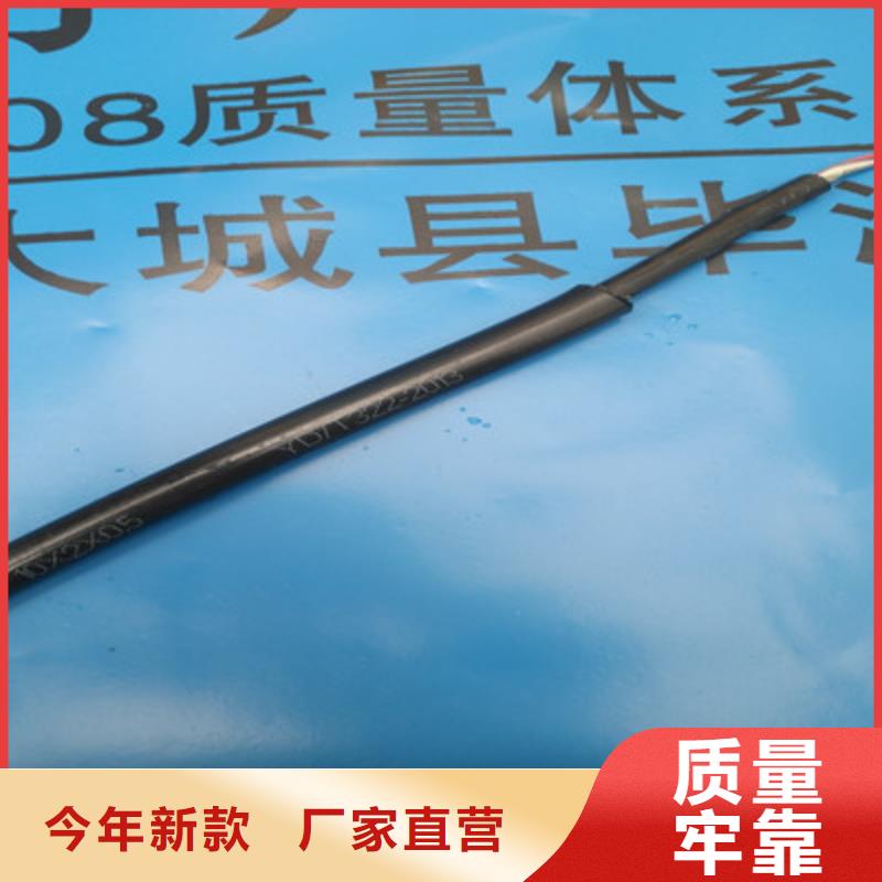 ZRA-HSGWPP22铠装网线2X5L价格优