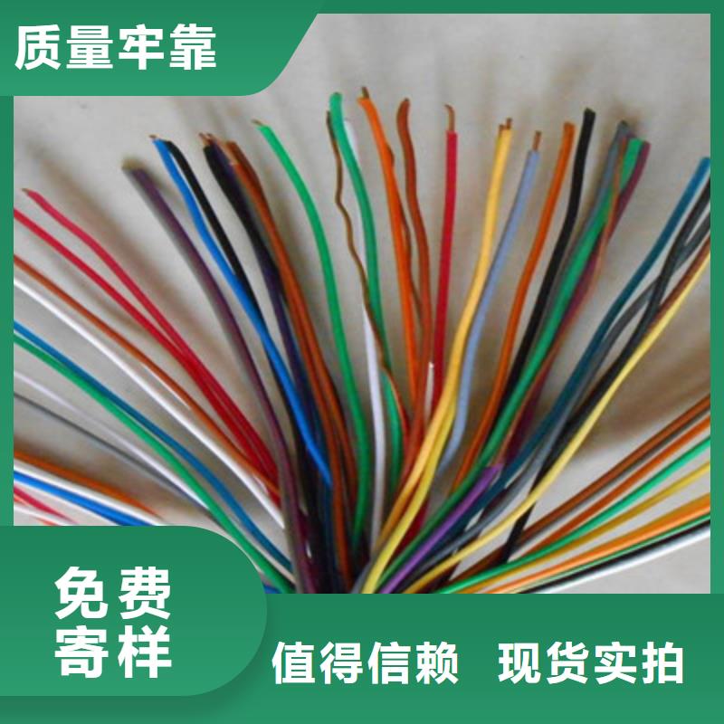 电缆总厂第一分厂-<电缆> 当地 连云港广播通信线缆HYPVR22实体厂家