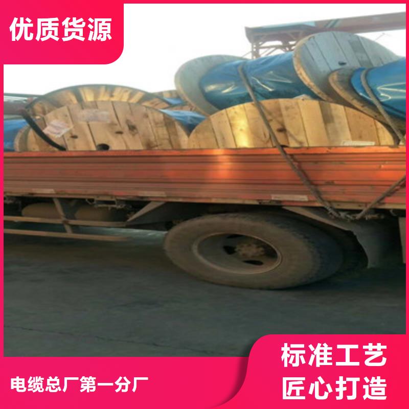 计算机电缆-信号电缆严选材质