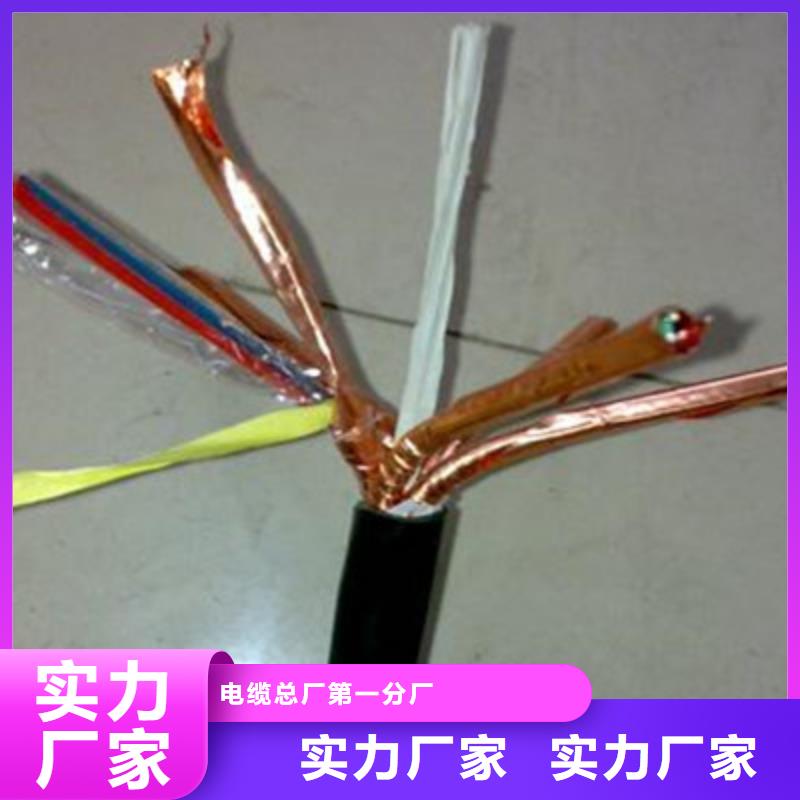 NH-RYSPVP耐火计算机电缆找天津市电缆总厂第一分厂