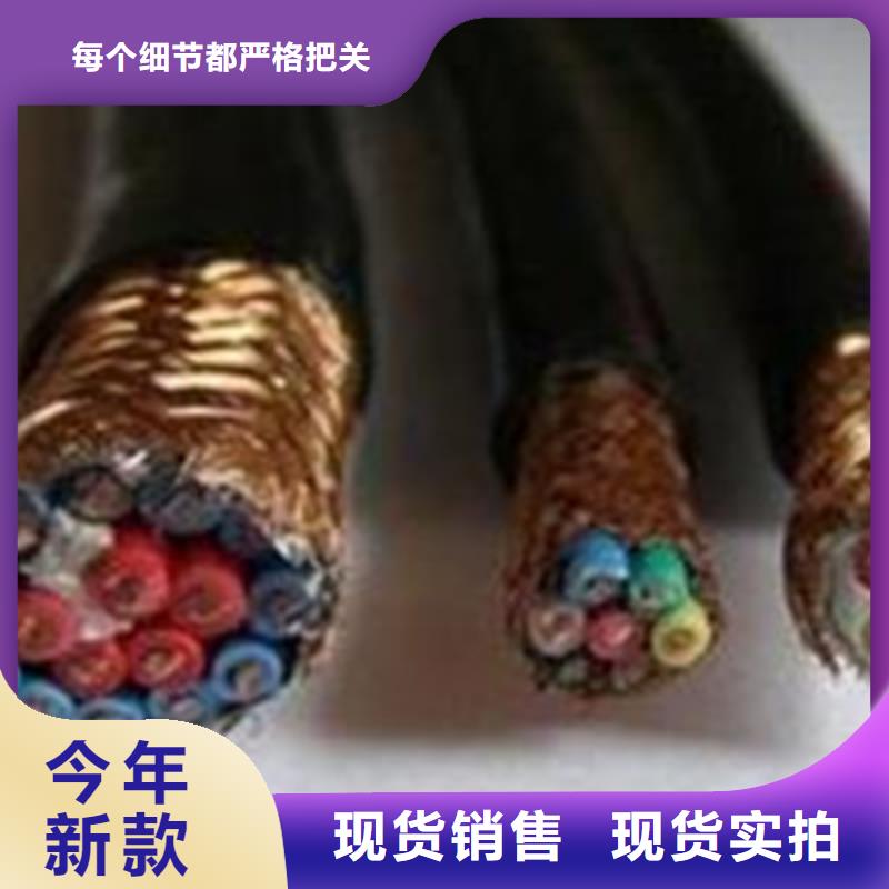 耐高温电缆-屏蔽电缆实体厂家支持定制