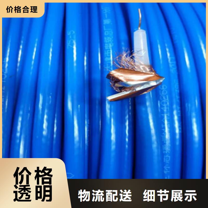 秦皇岛SYV视频监控线源头好货