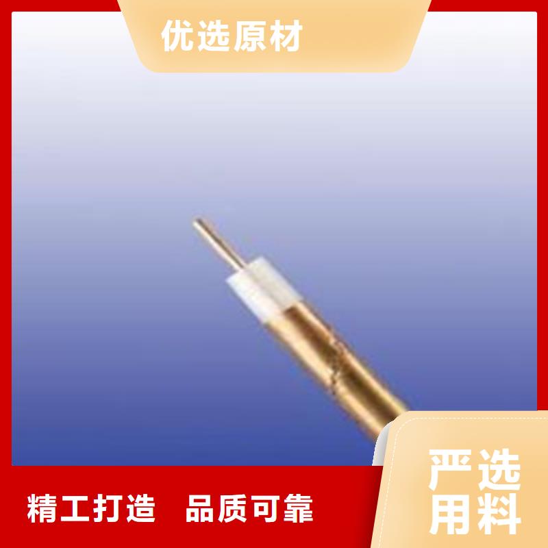 SYWV22特种型号射频线、SYWV22特种型号射频线厂家直销-认准天津市电缆总厂第一分厂