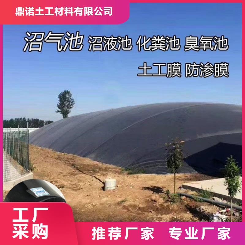 马鞍山市黑膜沼气池@趋势浅谈