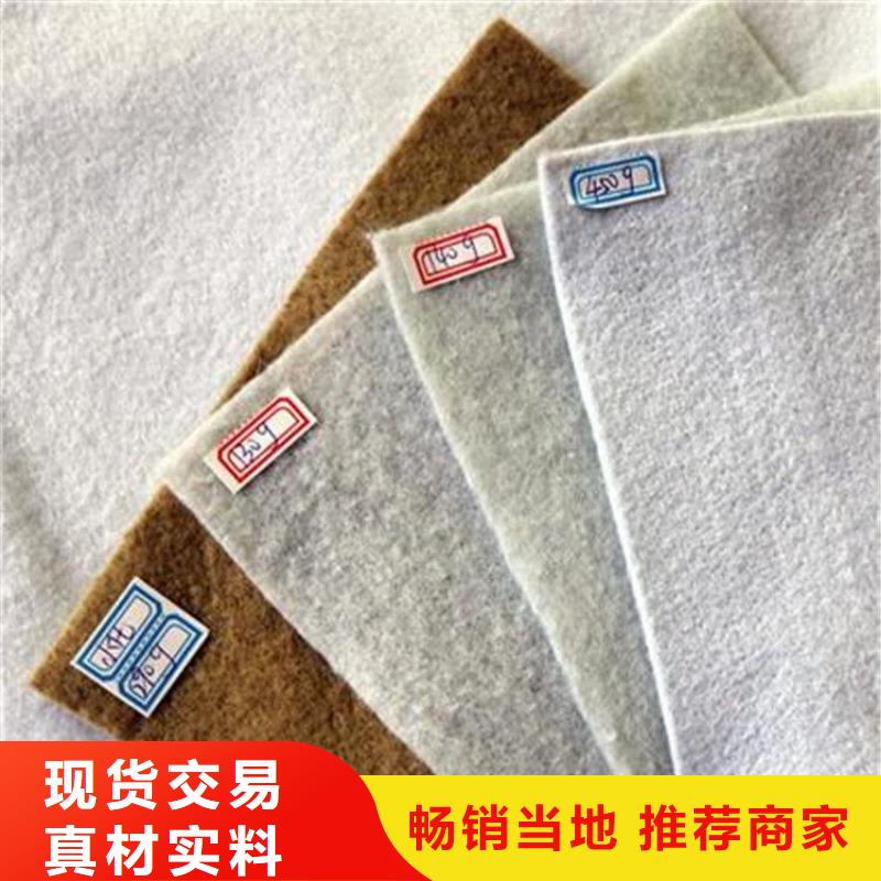 西藏养护短丝土工布