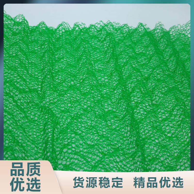 海南东方市三维植被网EM3塑料