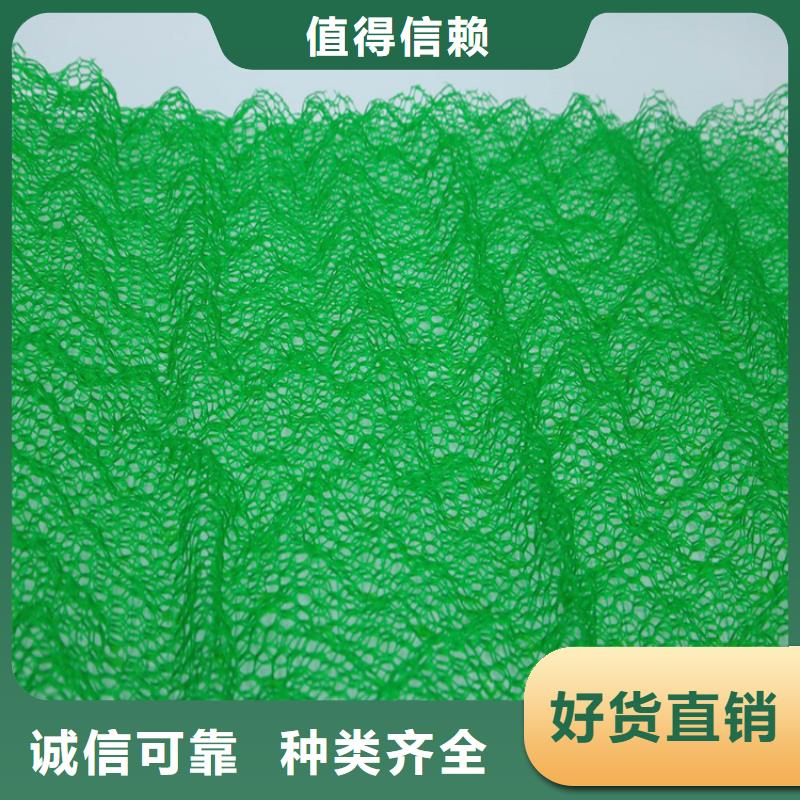 诚信厂家{鼎诺}三维植被网土工格栅质量看得见