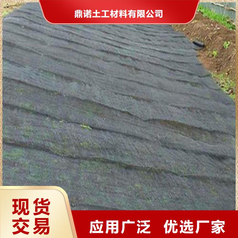 澄迈县柔性生态水土保护毯