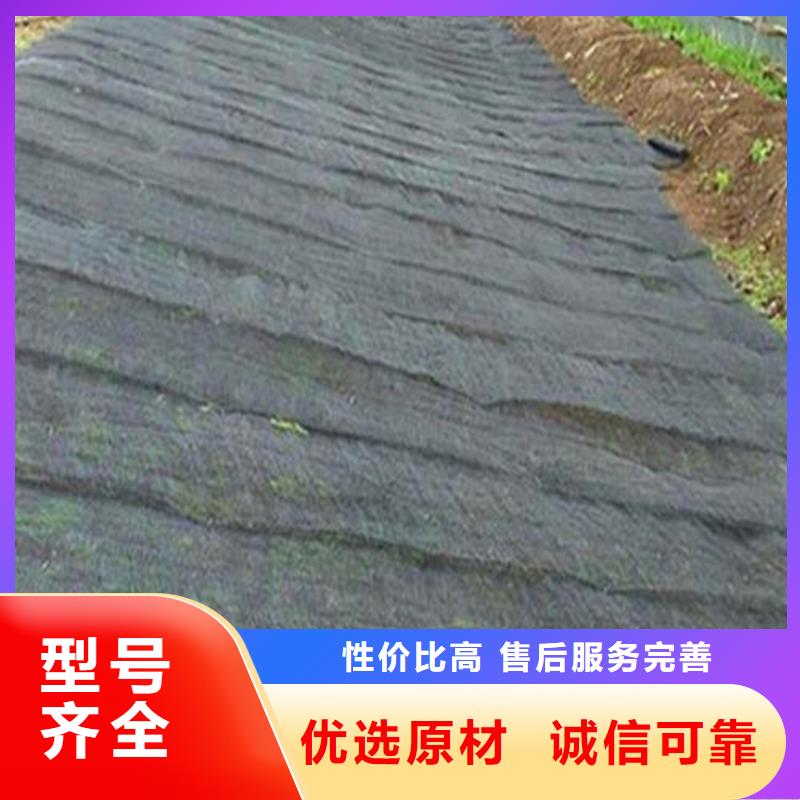 《鼎诺》广东珠海聚酰胺水土保护毯货源充足