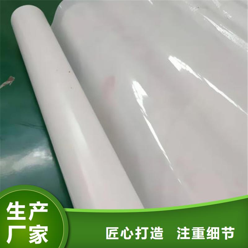 【鼎诺】河北沧州1.0mm防水板-鼎诺土工材料有限公司
