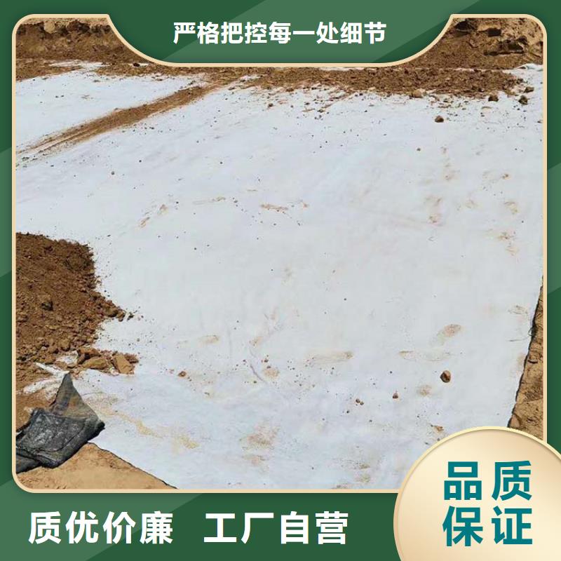 【膨润土防水毯-HDPE土工膜实拍品质保障】