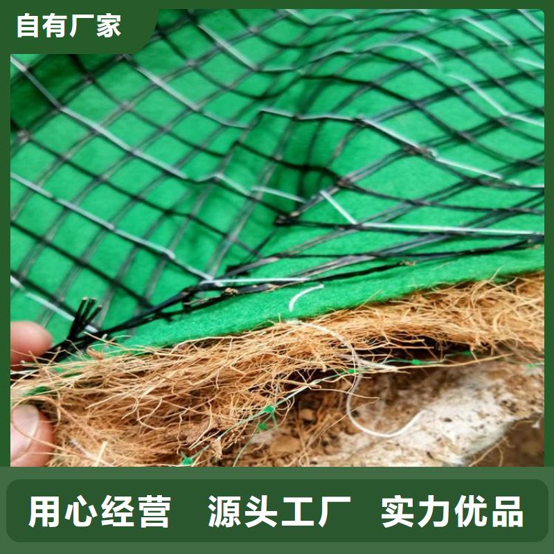 邢台植草绿化毯