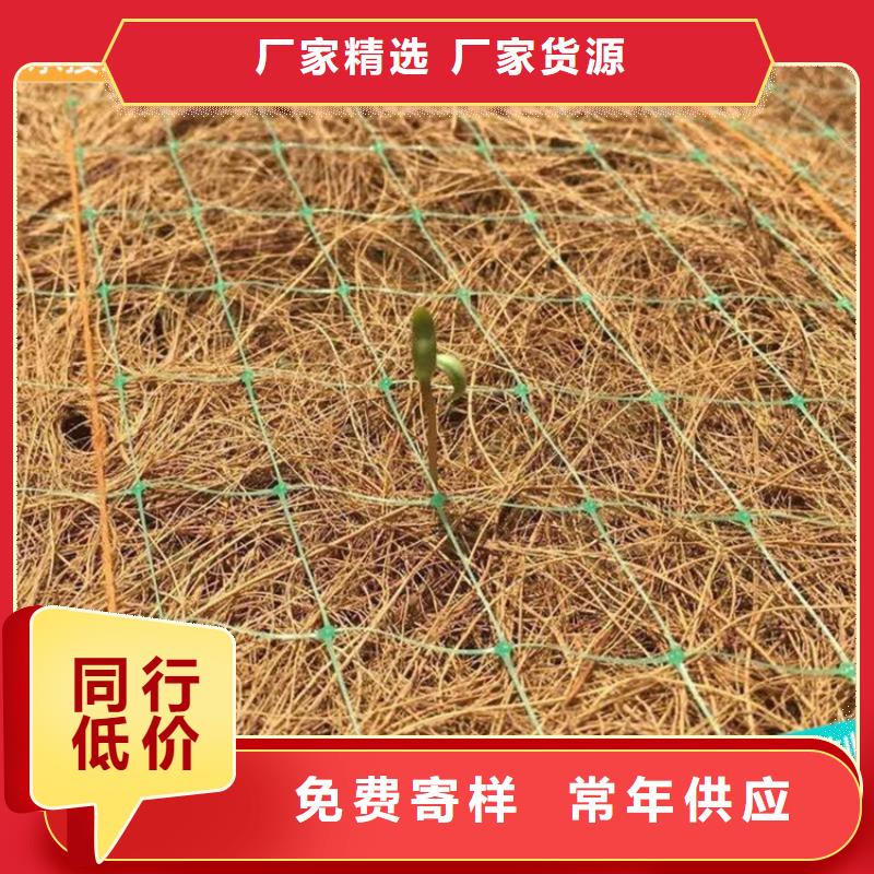 山东滨州植物绿化纤维毯