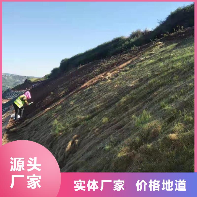 椰丝毯-【植草格】严格把关质量放心