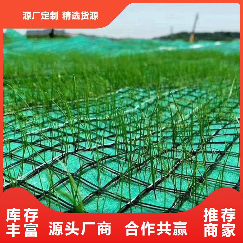 鼎诺江西宜春植物绿化纤维毯、生产加工-(本地)生产商