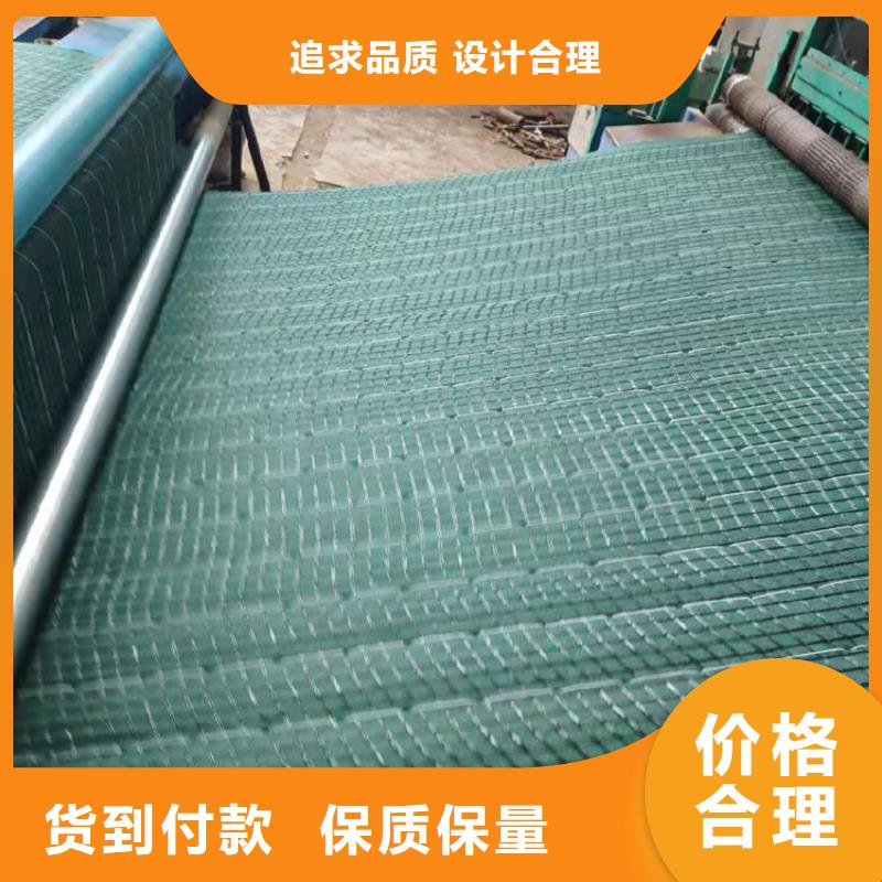 鼎诺江西宜春植物绿化纤维毯、生产加工-(本地)生产商