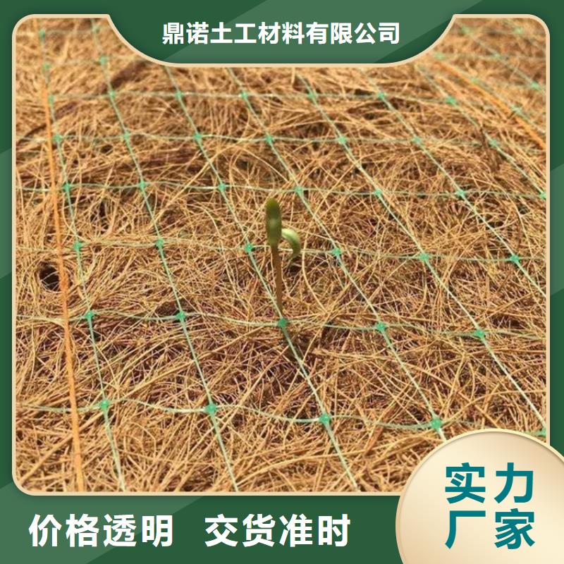 江西宜春植物绿化纤维毯