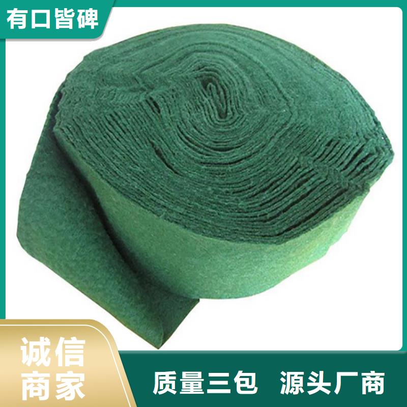 裹树布土工膜专业生产设备