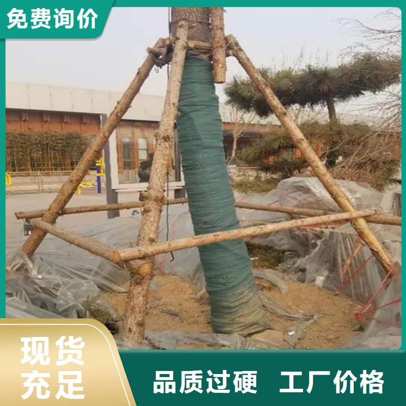 裹树布-HDPE土工膜重信誉厂家_鼎诺土工材料有限公司