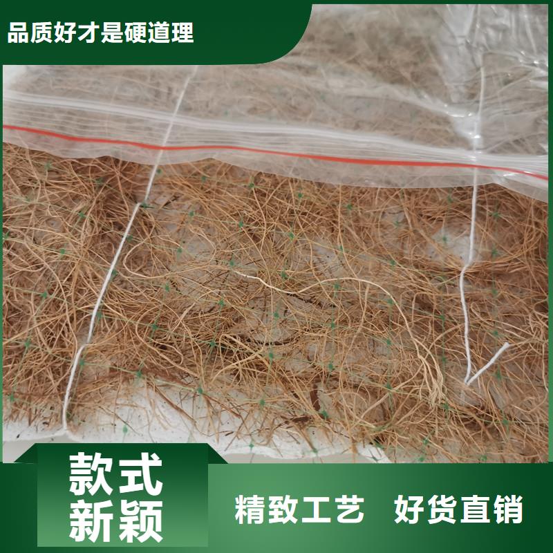 江苏水保抗冲生物毯植草绿化毯