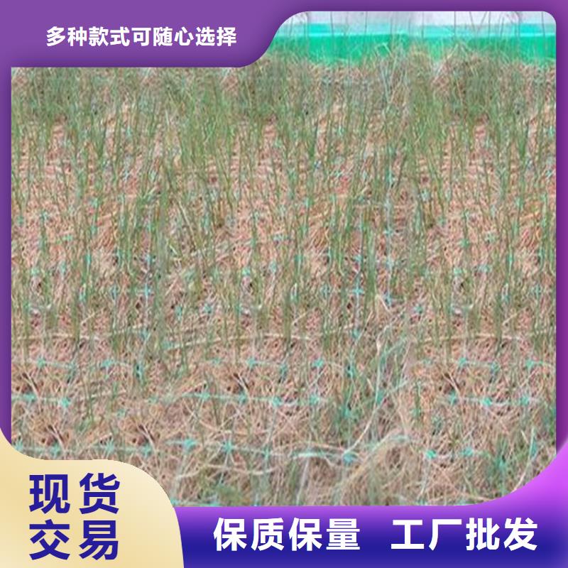 椰丝毯,【土工格室】满足多种行业需求