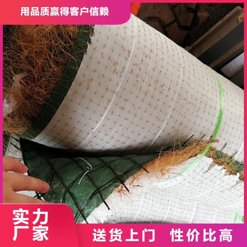 椰丝毯止水带高品质诚信厂家
