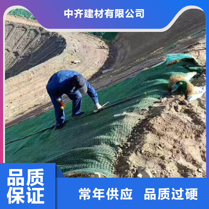 邵阳市护坡植被植草毯诚信共赢