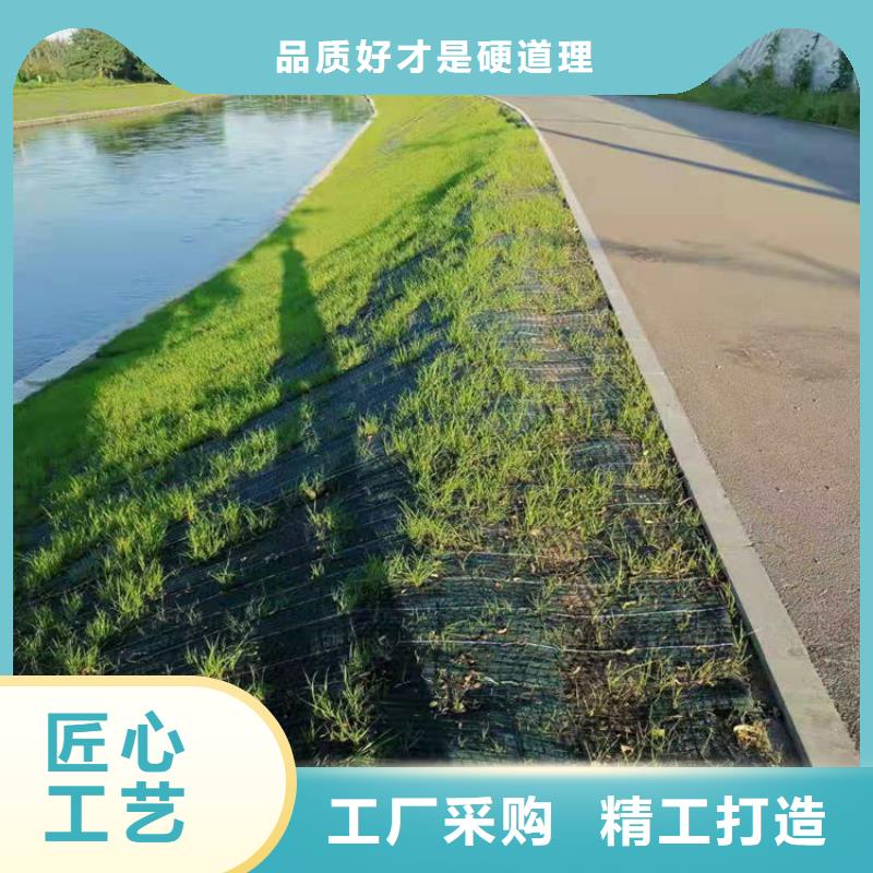 济宁市椰丝毯护坡椰丝植草毯