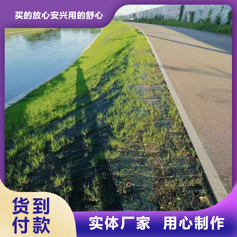 椰丝毯土工网垫精选厂家好货