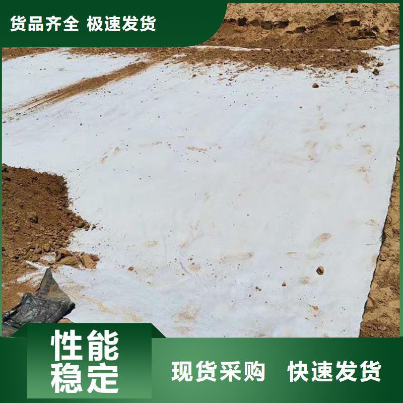 膨润土防水毯,【土工格栅】产品优势特点