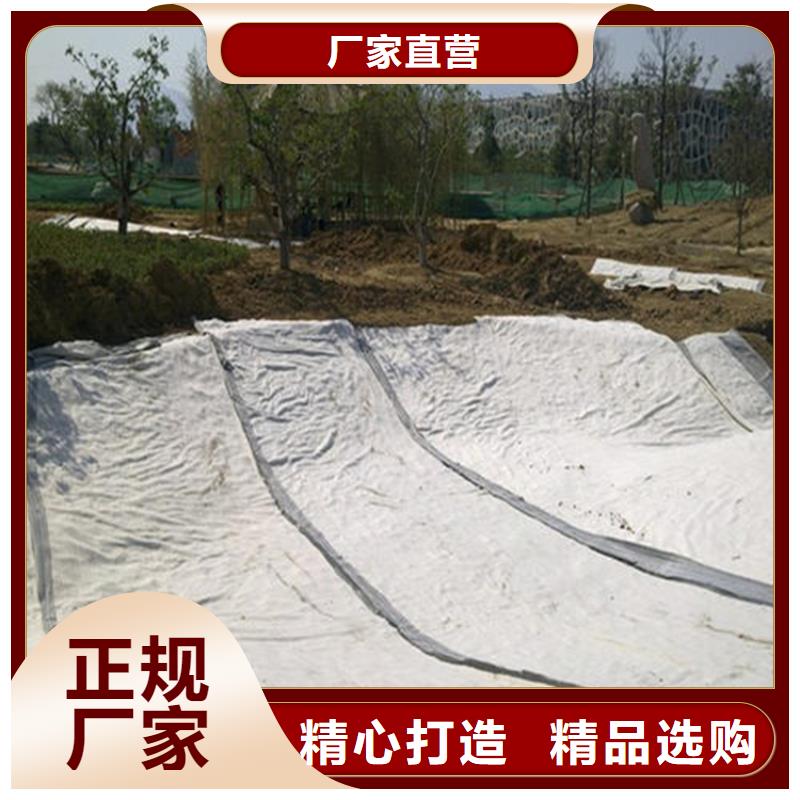 上海市膨润土防水垫GCL5000g天然钠基防水垫