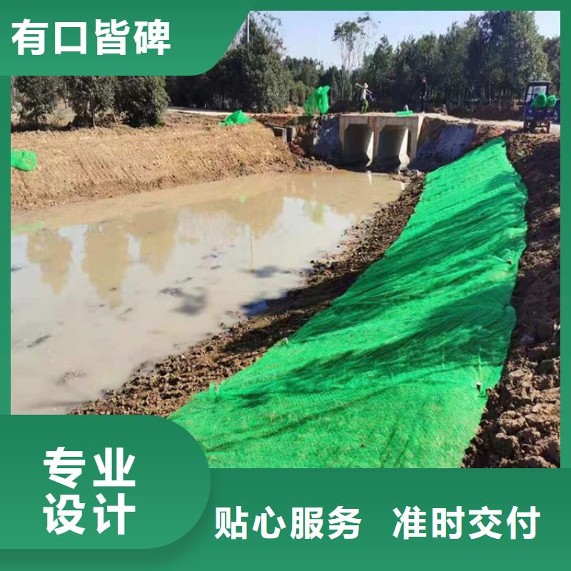 三维植被网-80KN玻纤格栅专业按需定制