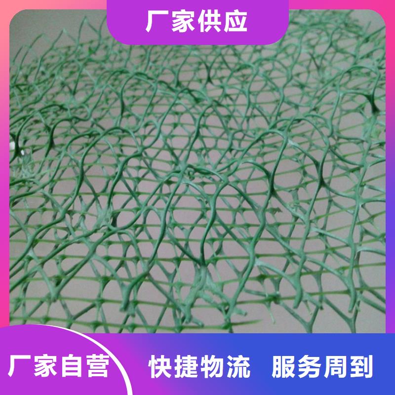 三维植被网土工格栅加工定制